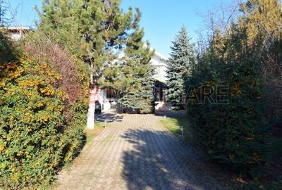 Vila deosebita pe Malul Lacului Grivita – Confort si Eleganta! - 3