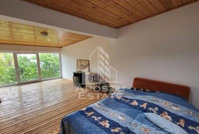 Casa ideala pentru birouri/alte activitati Mehala - 33