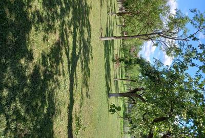 Casă cu 2 camere în Ciglean - 2