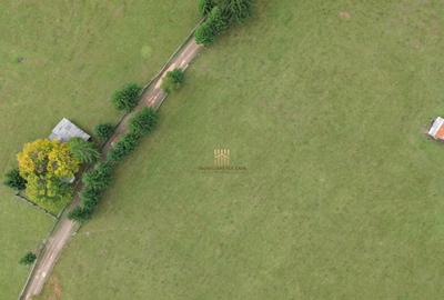 Teren 2804 mp, la munte! In Bucovina Fundu Moldovei! - 23