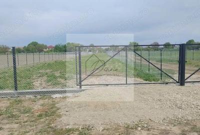 Teren intravilan 2078 mp langa padure - Piscu Ciolpani Snagov - 4