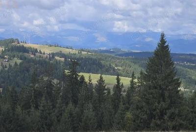 Teren intravilan cu priveliste spectaculoasa - Piatra Fantanele - 6