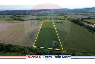 Teren De Vanzare in Zona Industriala Somcuta Mare
