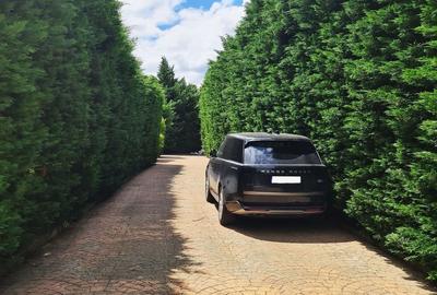 Bucium | locuinta impunatoare | refugiu al linistii si rafinamentului - 5