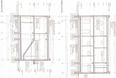 Proprietate specială, de 450 mp, în Ciolpani - 13
