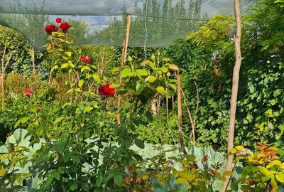 Vand Casa In Sendreni! - 4