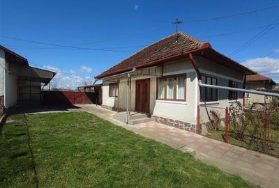 Casă individuală cu 4 camere cu Teren 3892 Mp în Baia de Criș - 2