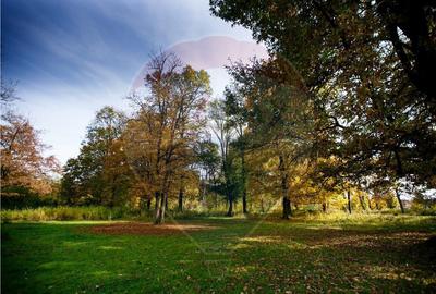 Domeniu Baronial de vanzare in localitatea CIL , Judet Arad - 12