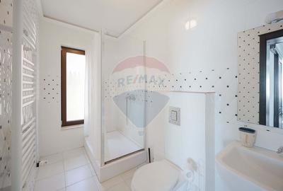 De inchiriat Casa/Pensiune in zona Nufarul - 14