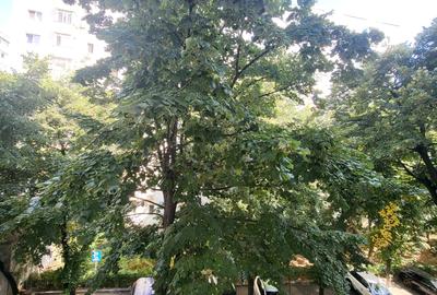 Apartament 2 Camere Pantelimon - 15