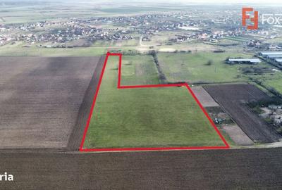 Teren de 20000 mp, în Pădureni - 1