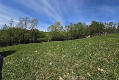 Teren de vanzare 10.000 mp pentru investitii in Cerdac Slanic Moldova