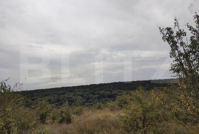 Teren de 6291 mp, în Leamna de Jos - 1