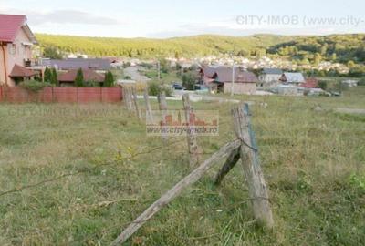 Teren Construcții intravilan de 500 mp, în Ocnița - 4