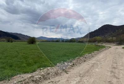 Teren agricol extravilan de 3157 mp, în Exterior Est - 12