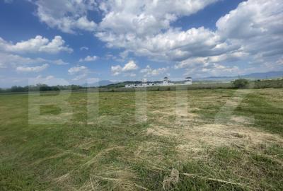 Teren extravilan 1200 mp Dorolea, aproape de Manastire - 5