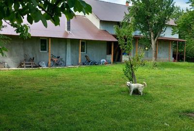 Casă cu 5 camere cu Teren 1900 Mp în Radu Vodă - 1