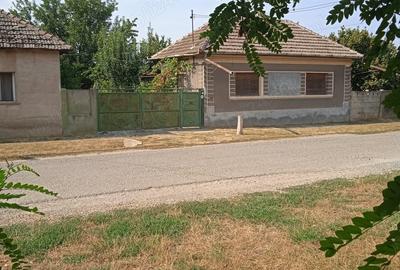 Vand casa la tara - 3