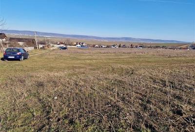 Teren intravilan de 1800 mp, în 9 Mai - 5