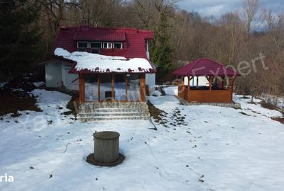 Casă cu 4 camere cu Teren 1435 Mp în Bradu - 9