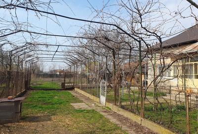 Casa de vanzare comuna Visina jud Olt - 5