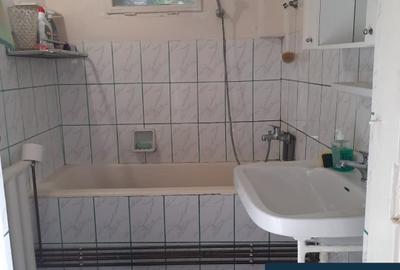 Reșița - Casă cu 3 camere, atelier și seră - 1