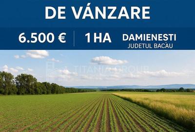 Teren de 10000 mp, în Dămienești - 1