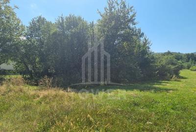 EXCLUSIVITATE! Teren la șoseaua principală | Tocile - 6