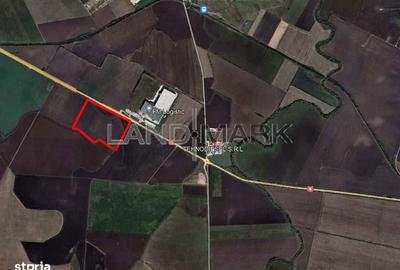 Teren de 144250 mp, în Dudeștii Noi