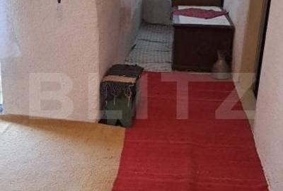 Voinesti Casa batraneasca, de vanzare, 70 mp - 4