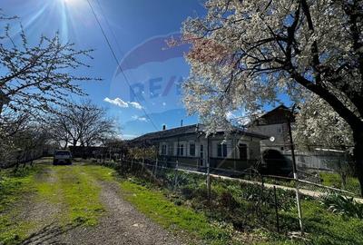 Casă cu 3 camere cu Teren 1000 Mp în Bâldana - 6