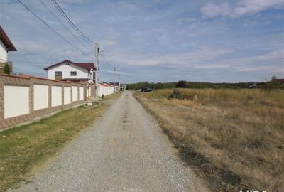 Teren de 9200 mp, în Păulești - 2
