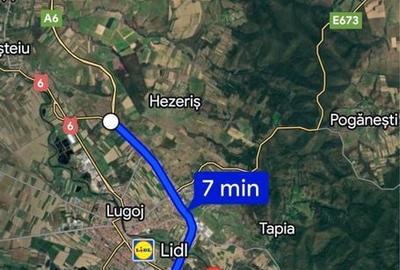 Teren de 5800 mp, în Gavojdia - 2