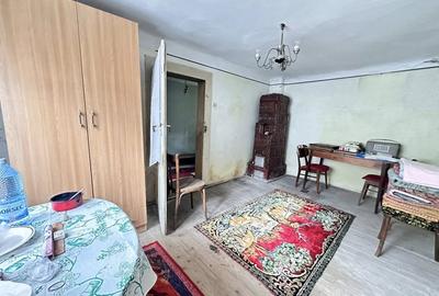 CASUTA DE VANZARE - TEREN 1000 MP - CONTESTI - 17