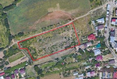 Teren  Intravilan de vanzare 14,000mp Giurgiu- Strada Negru Voda - 1