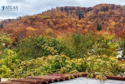 Casă individuală  5 camere, curte 250mp, zona linistita, aproape de natura, Noua - 15