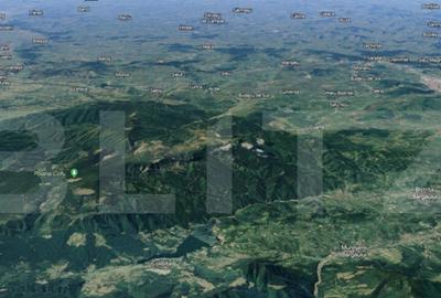 Teren, 9000 mp, zona Colibita - 1