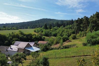 Casa in Sacele pozitionata intr-o zona linistita - 2