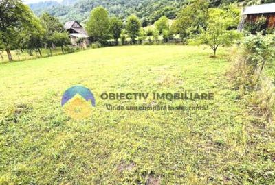 TEREN intravilan comuna TARCAU - STRAJA - 6