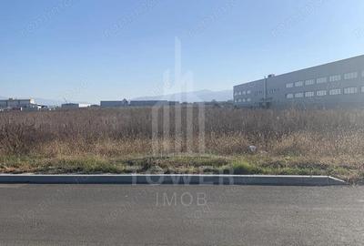 TEREN INTRAVILAN - ZONA INDUSTRIALA VEST-9000 mp, sau 18000 mp - 5