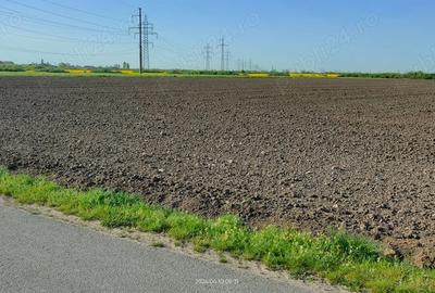 Teren de 10000 mp, în Cerneteaz - 4