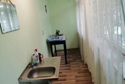 Casă cu 2 camere în Șag - 8