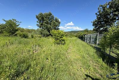 Teren de 2170 mp, în Olteni