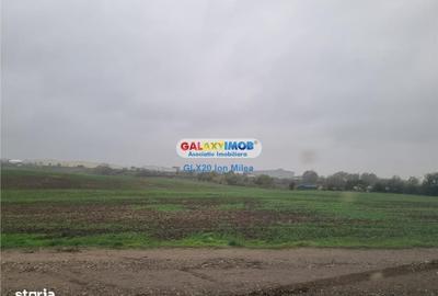 Spațiu comercial, în Dobroești - 3