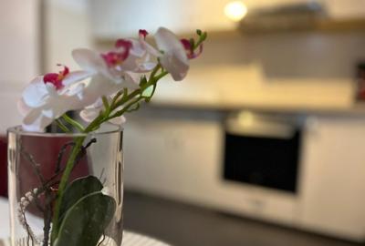 Vanzare apartament 2 camere Drumul Taberei Parc - 12