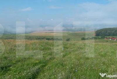 Teren de 1000 mp, în Sălicea - 2