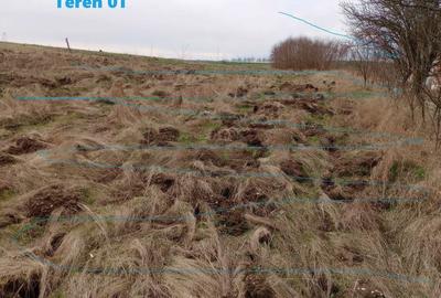 Teren Construcții intravilan de 2121 mp, în Fundătura - 3