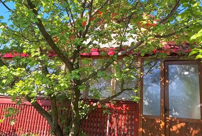 Vand casa cu teren 2093 mp Murgesti Buzau - 2