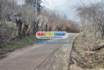 Teren în Răzvad - 9