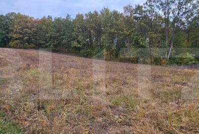 Teren intravilan parcelat - 2882 mp - Sat Bejan - 3